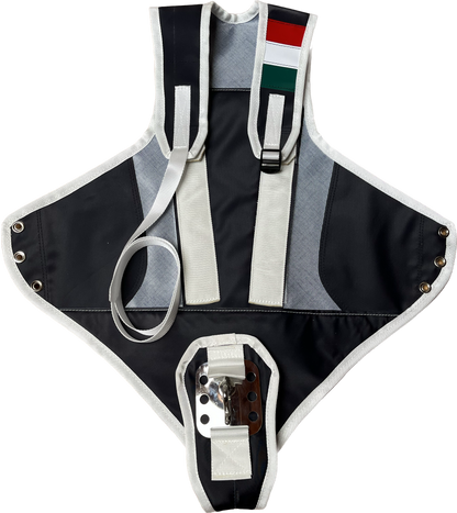 Model 2 Harness