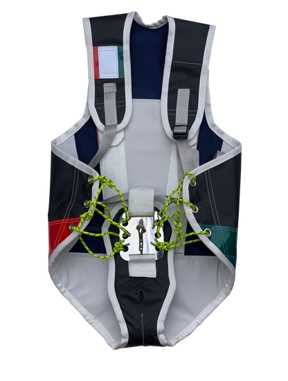 Model 2 Harness